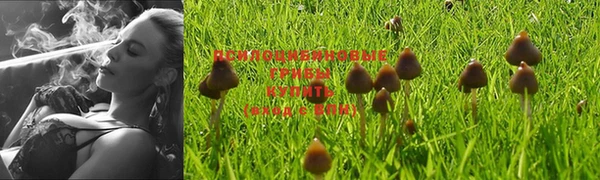 не бодяженный Белокуриха