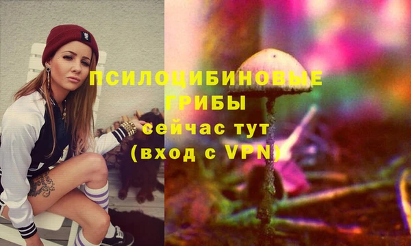не бодяженный Белокуриха