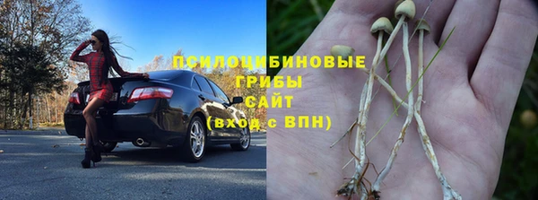 не бодяженный Белокуриха