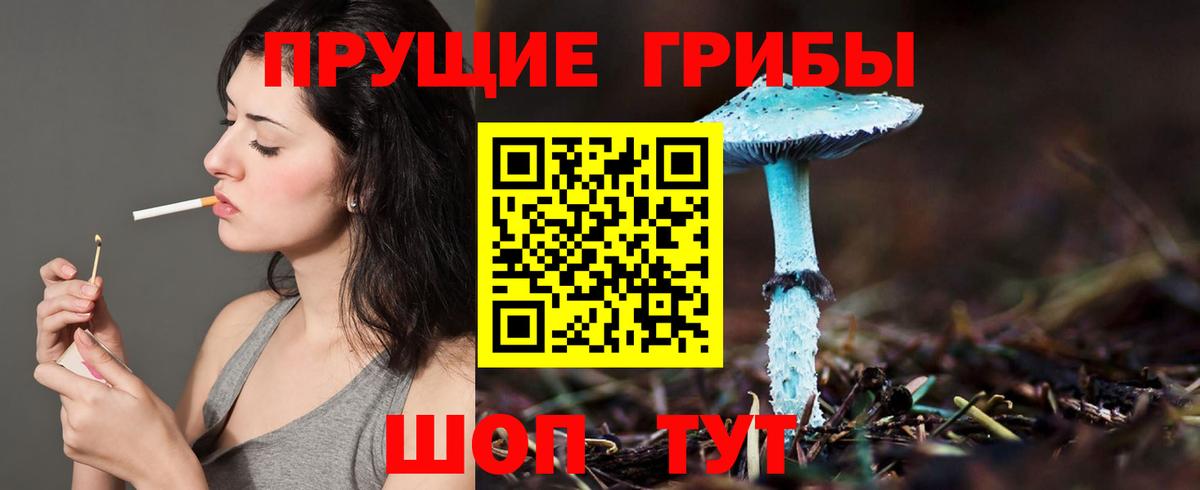 Кузнецк  Галлюциногенные грибы Psilocybine cubensis  цена   Галлюциногенные грибы MAGIC MUSHROOMS  Вход с VPN 